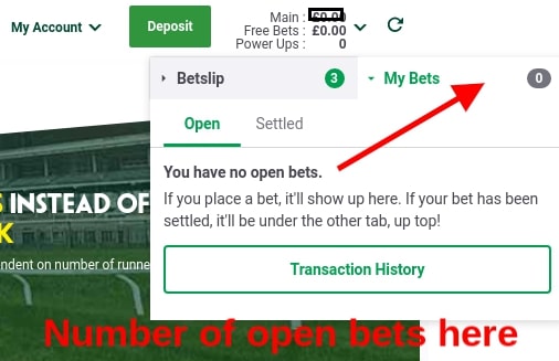 Paddy Power View Open Bets