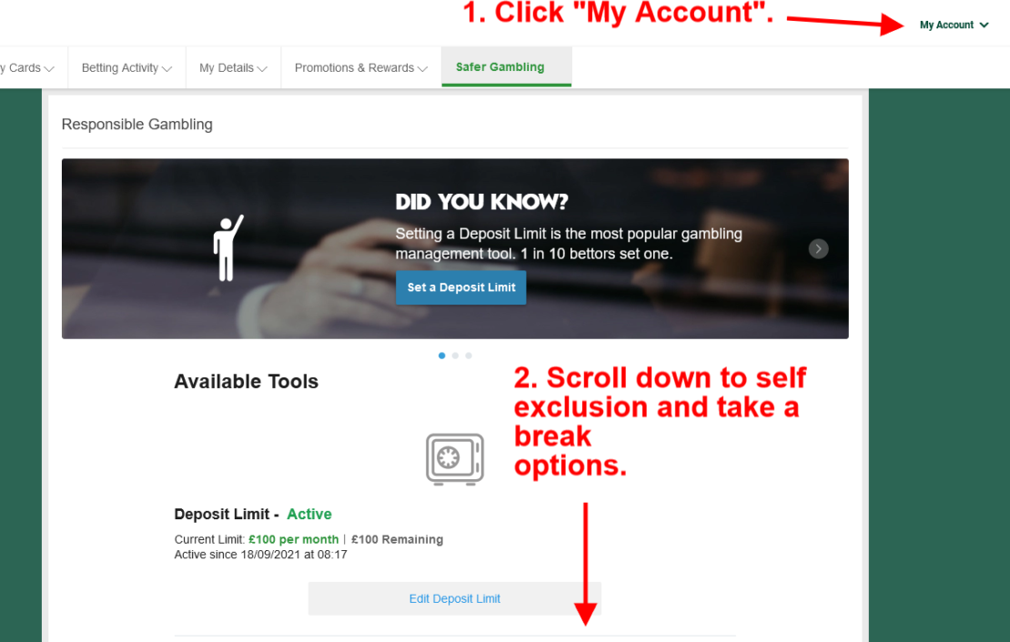 paddy power how to close account and self exclusion