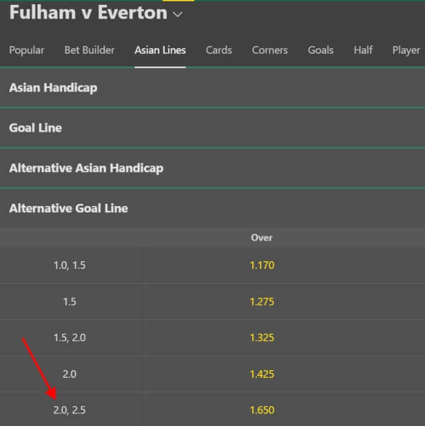 Asian Goal Line - Fulham vs Everton