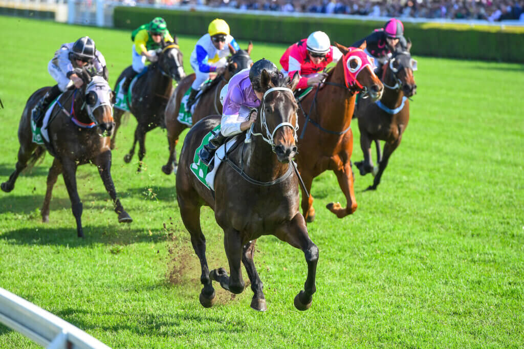 Sydney Autumn Racing Carnival: Tips for Winning Predictions -